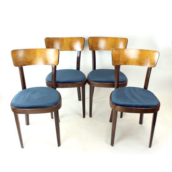 Image 1 of Ensemble de quatre chaises de salle à manger Tatra, Tchécoslovaquie, années 1950