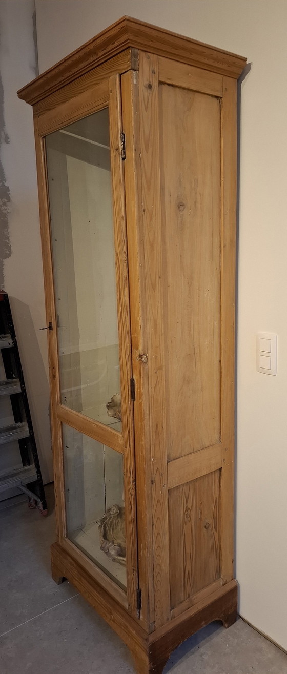 Image 1 of Pine Display Cabinet With 7 Glass Shelves