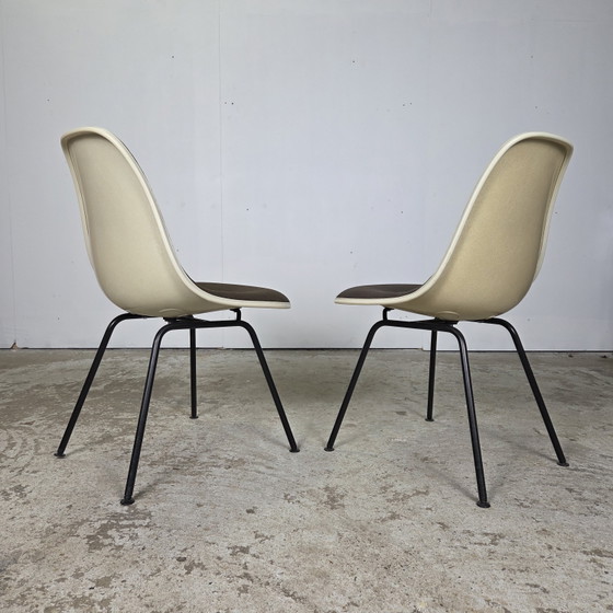 Image 1 of Prezzo fisso! Sedie in fibra di vetro Eames Herman Miller, Vitra DSX