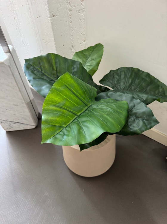 Image 1 of Pot de fleurs Calun Kave Home.