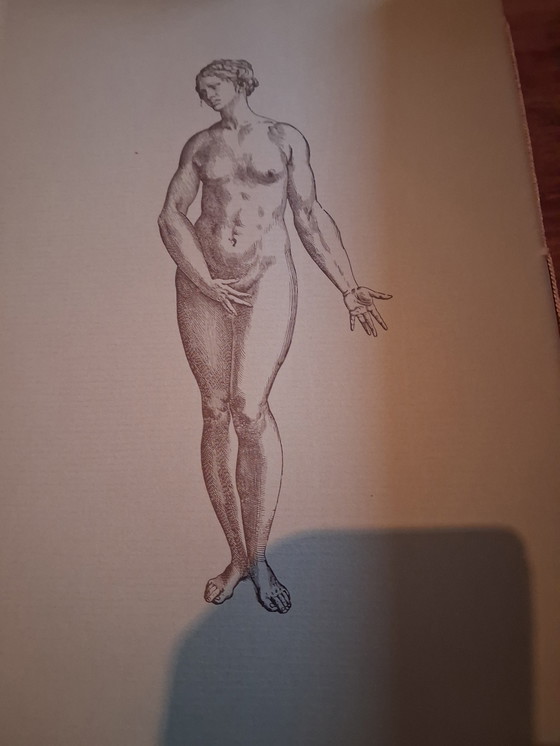 Image 1 of Libro Andreas Veasalius Opus Magnus