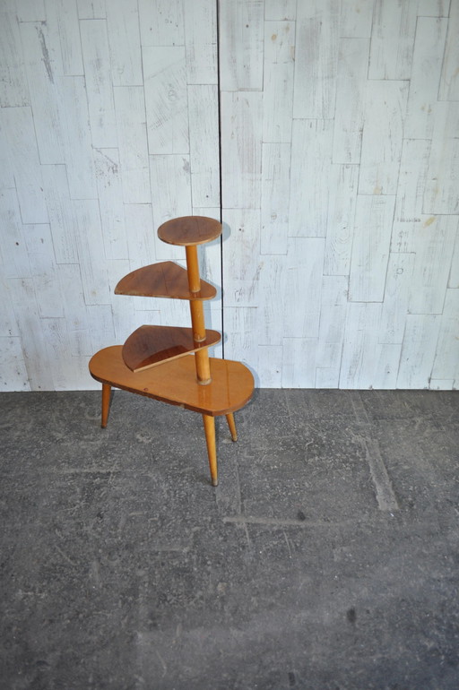 Vintage Houten Plantentafel, jaren 50