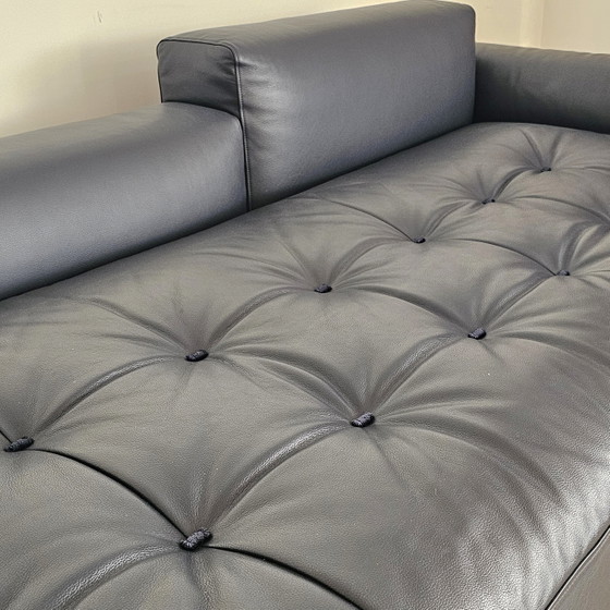 Divano Zanotta Shiki L292 – Divani, Leather, Metal (photo 7 of 13)