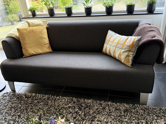 Image 1 of Sofá de 2,5 plazas de Leolux 2 times, marrón jaspeado, sin cojines ni cuadros