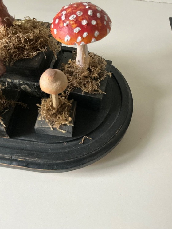 Image 1 of Antique bell jar with vintage educational mushrooms