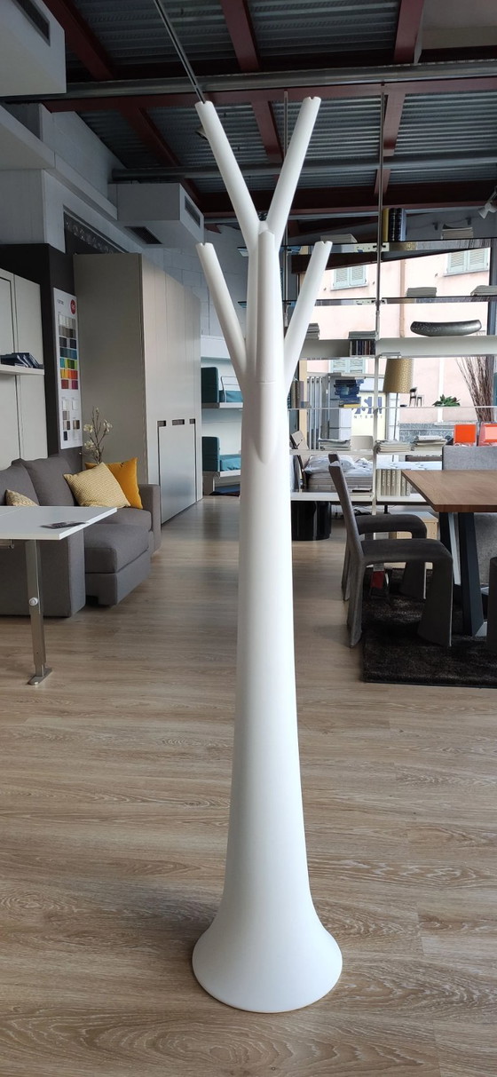 Image 1 of Perchero de diseño Bonaldo Tree Light