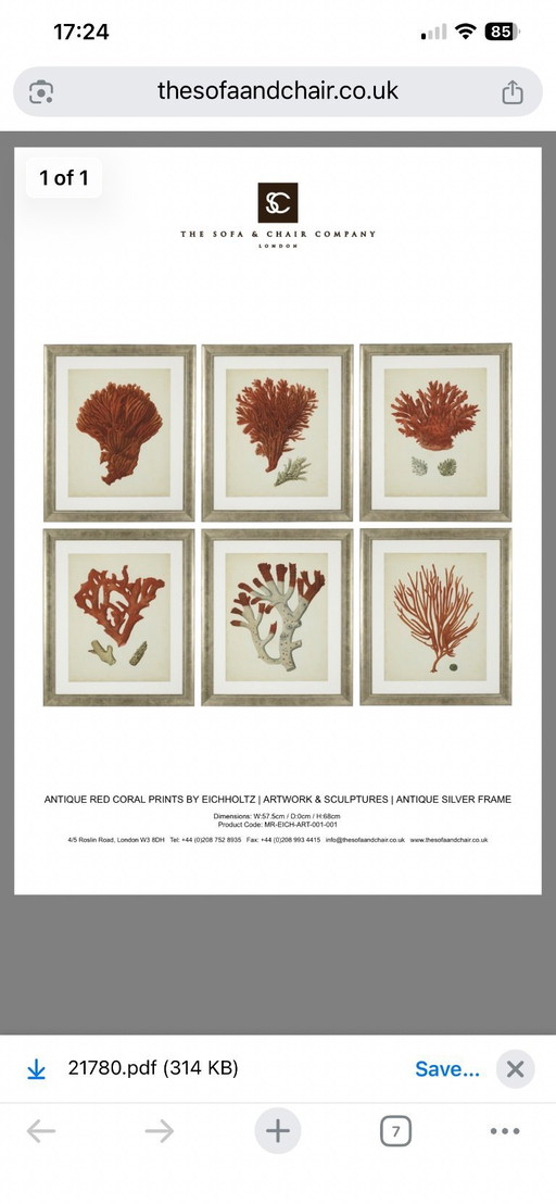 Estampes anciennes de corail rouge par Eichholtz