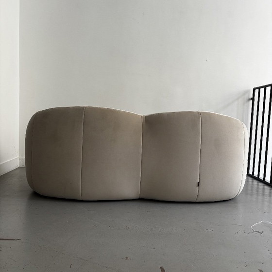 Sofa „Pumkin“ von Pierre Paulin für Ligne Roset – 2 Sitzer Sofas, Velvet (photo 6 of 13)