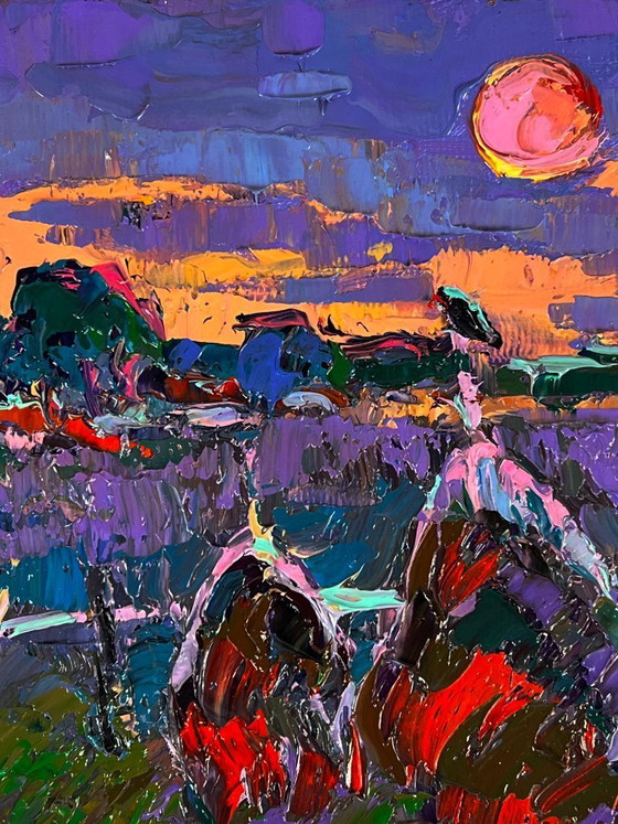Image 1 of The Moon Illuminates the Field
