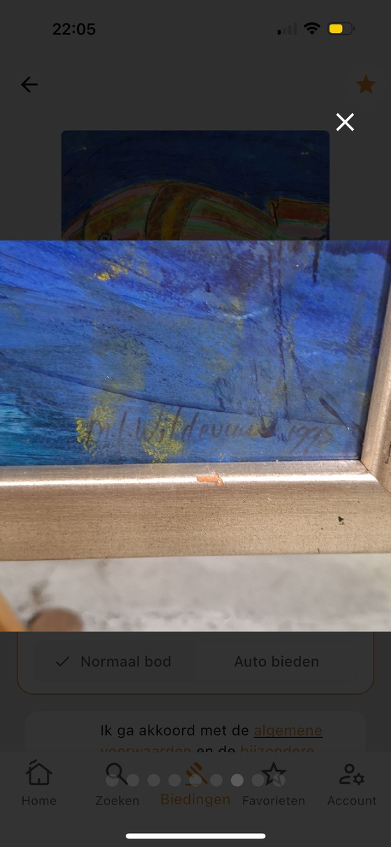 Image 1 of Maya Wildevuur - origineel werk - acryl schilderij - ingelijst - 90x70 cm -Vis