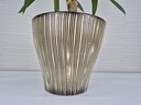 1950s XXL ceramic flower pot. Vintage 'Zebra' planter.