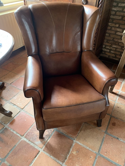Armchair Upholstered in Neck Leather