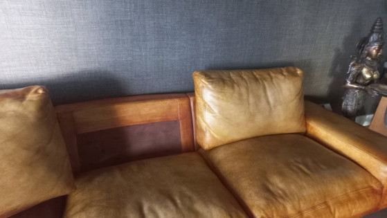 Molinari sofa – 3-5 seaters, Leather (photo 8 of 12)