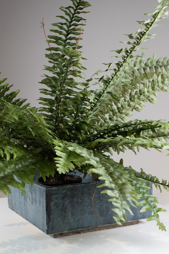 Image 1 of Maceta de cactus de Studio Ceramics