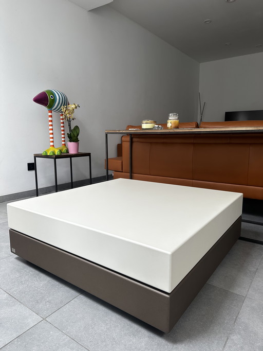 Leolux Trovo Coffee Table