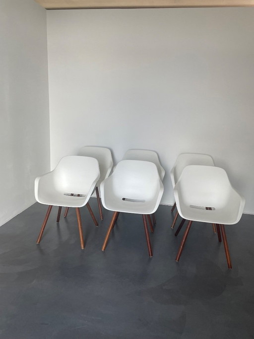 6 chairs extremis …