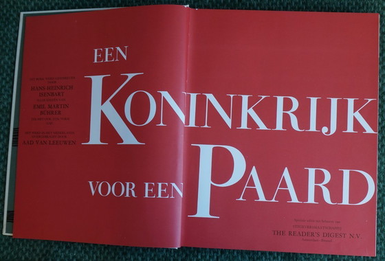 Image 1 of Ein Königreich für ein Pferd