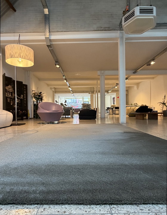 Image 1 of Brink and Campman Longbarn Ripe Mix Carpet