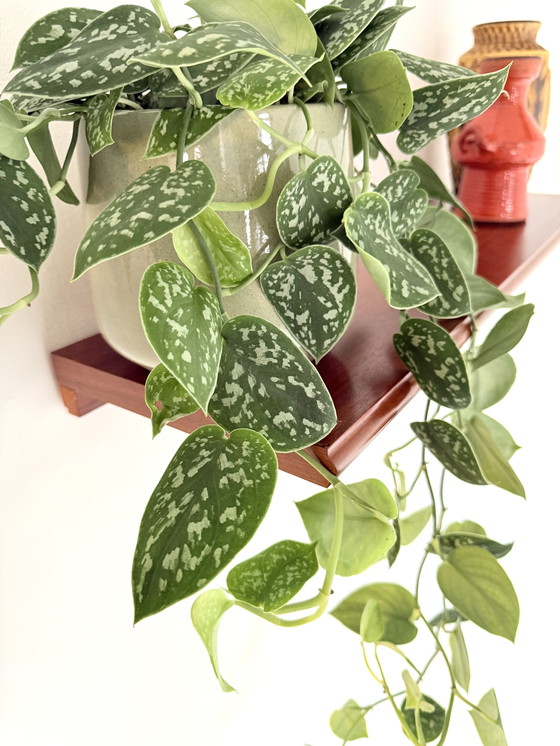 Image 1 of Set of 2 vintage wall shelves '80