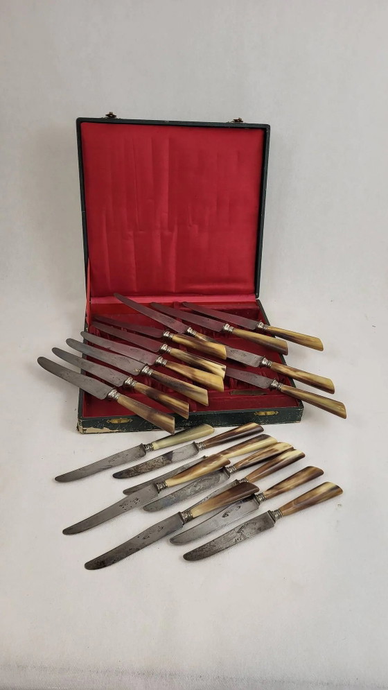 20 coltelli da tavola con lame in acciaio e manici in corno – Set di posate, polished steel, Metallo, Art Deco (photo 6 of 6)