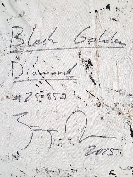 Image 1 of Jürgen Angeler - Diamante de oro negro