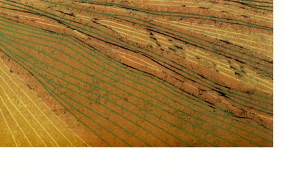 Image 1 of Taubert, Gerhard - Hilly landscape - Color offset lithograph