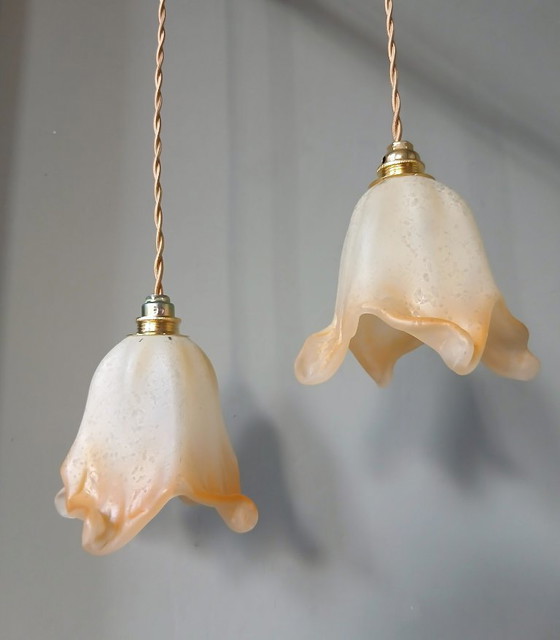 Image 1 of Set van 2 Vintage Murano hanglampen - Mid Century - Italy