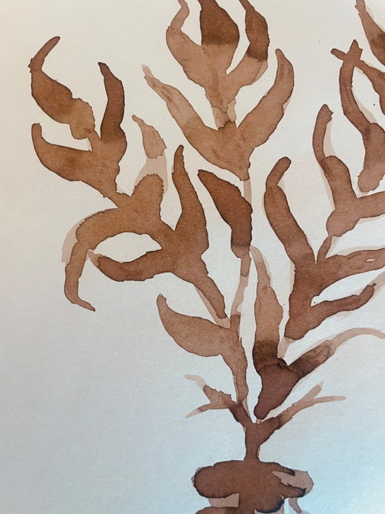 Image 1 of Painting, monochrome sepia still life "dried flowers", signed