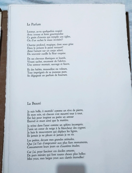 Baudelaire, La sainte jeunesse: Complete folder with linoleum by Carla Tolomeo ex. 75/75, 63x45 cm (photo 3 of 15)