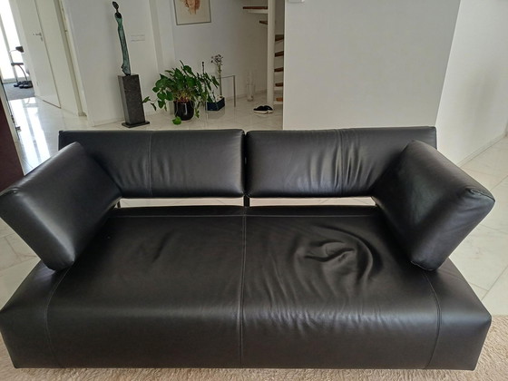 Image 1 of FSM Velas - divano design (2,5 posti)