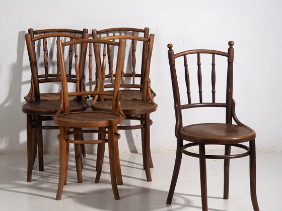 Antique bentwood dining chairs (c.1920). Set of 6 pieces #2 (photo 2 of 40)