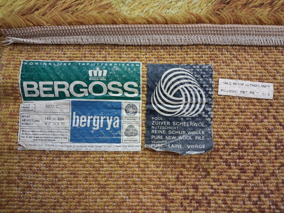 Tappeto vintage Bergoss 140 x 200 cm, Paesi Bassi, anni '70 – Merk onbekend, Tappeti, Wool (photo 6 of 7)