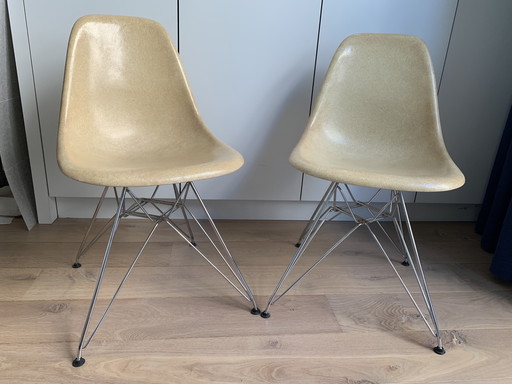 2 sedie laterali vintage Eames Miller DSR in fibra di vetro color pergamena