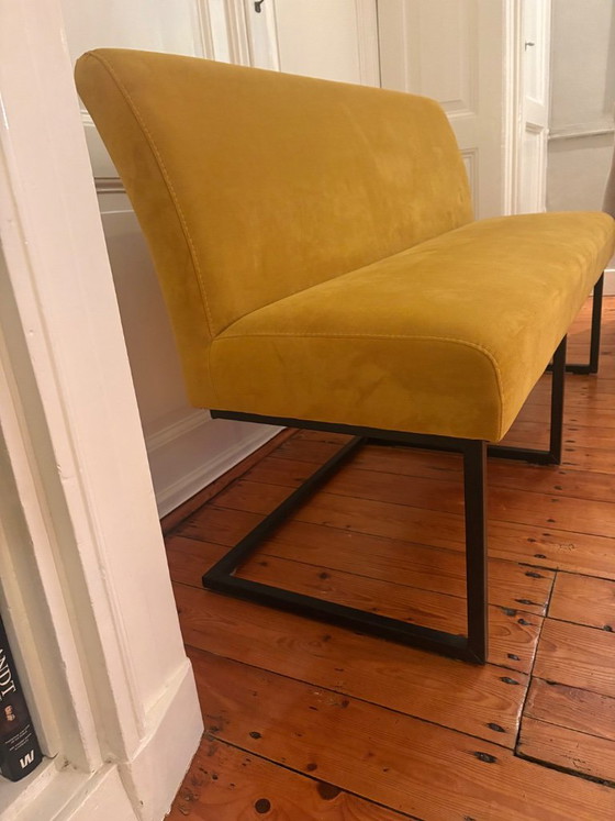 Dining Bench Sinatra – Zitmaxx Wonen, Benches, Velvet (photo 2 of 5)