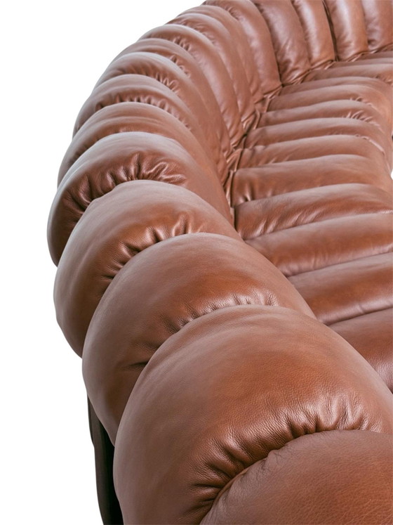 De Sede Ds600 Snake en cuir Cognac, 20 éléments, Canapés modulables, Textile, Marron (photo 12 sur 15)