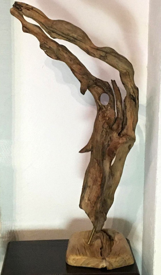 Sculture in legno organico chiamata "Alma del viento", Marrone, Organic Modern (foto 4 di 6)