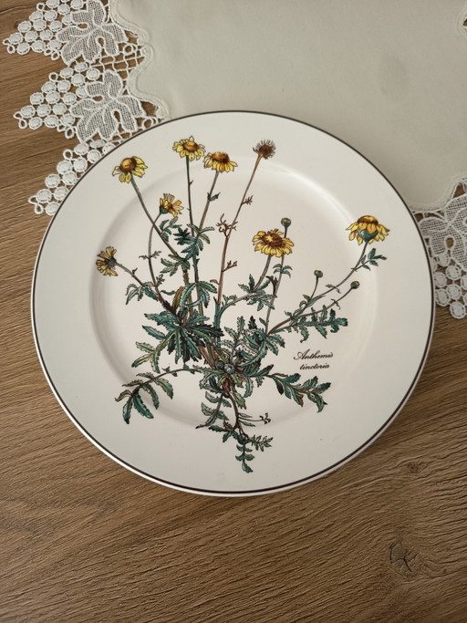 Villeroy und Boch Botanica Teller – servies, Porcelain (photo 2 of 6)