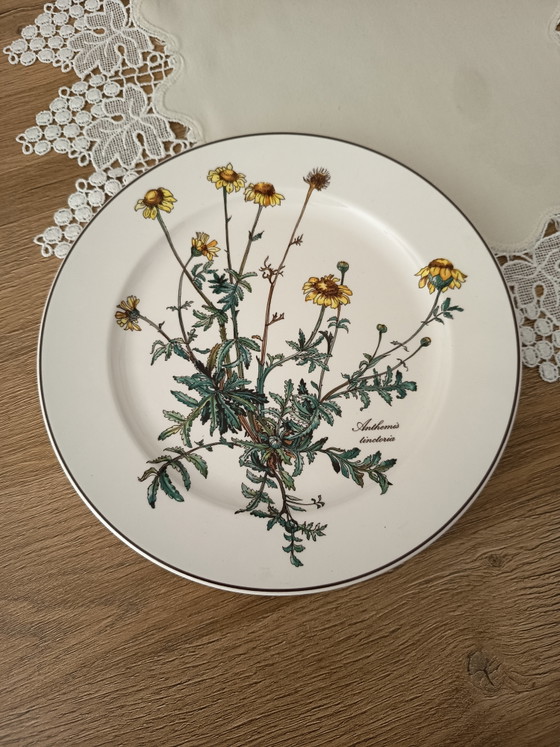 Villeroy und Boch Botanica Teller – Geschirr, Porcelain (photo 2 of 6)