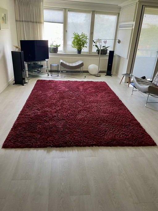 Moquette Kinast Woodland 5cm (2.2x3.3M)