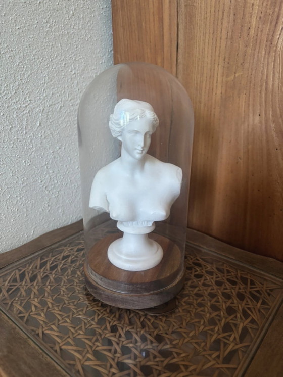Image 1 of Buste de Vénus – albâtre pur – style académique classique et sombre
