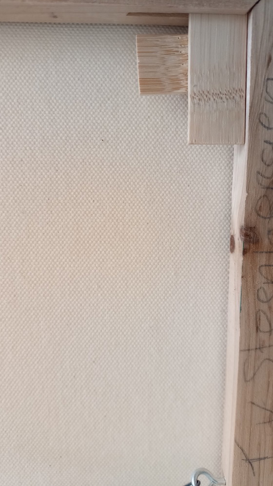 Image 1 of Tineke van Steenbergen PASSIONE