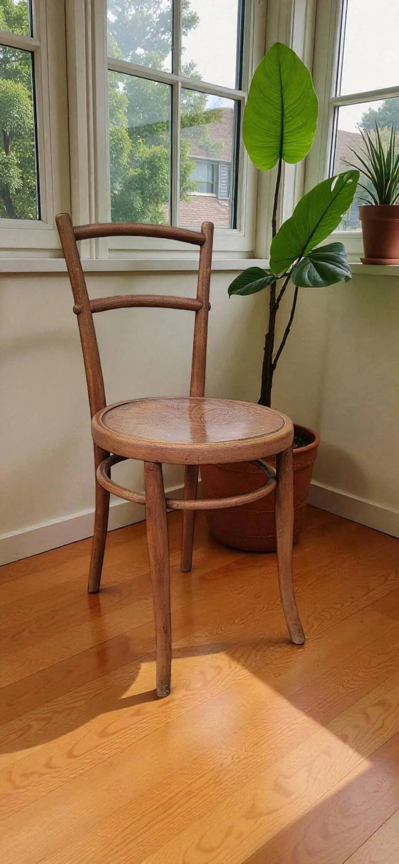 Sedia Bentwood, 1900, Ungvar – Sedie da pranzo, Vintage (photo 2 of 10)