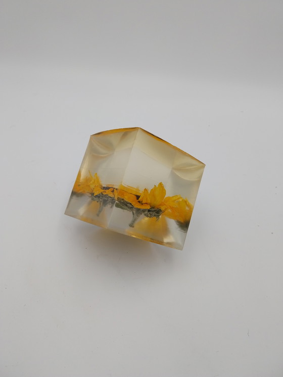 Image 1 of Deux compositions florales dans des blocs de résine époxy. Rose et tournesol, 10 x 10 x 10 cm.