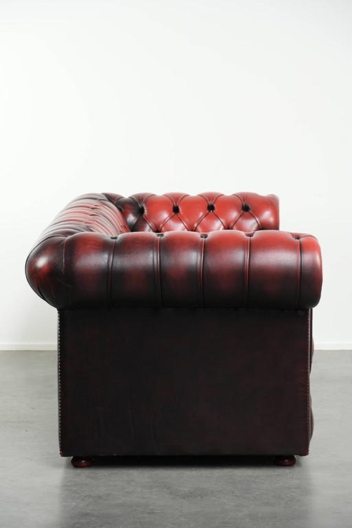 Englisches Chesterfield-Sofa, 2,5-/3-Sitzer, aus Rindsleder in luxuriösem Rot