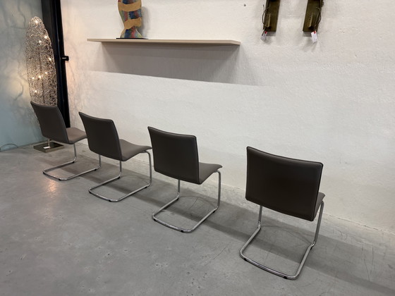 Image 1 of 4 Leolux Freyr dining chair Wapiti Triel