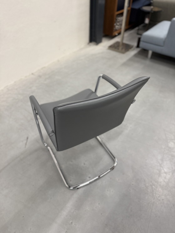 Image 1 of Leolux Freyr dining chair Gray leather
