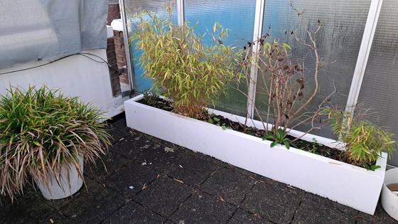 Image 1 of 2 fioriere Ibiza