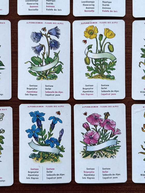 Image 1 of Vintage Bloemenkwartet Jeu de Fleurs - Diabolo 1964 – compleet