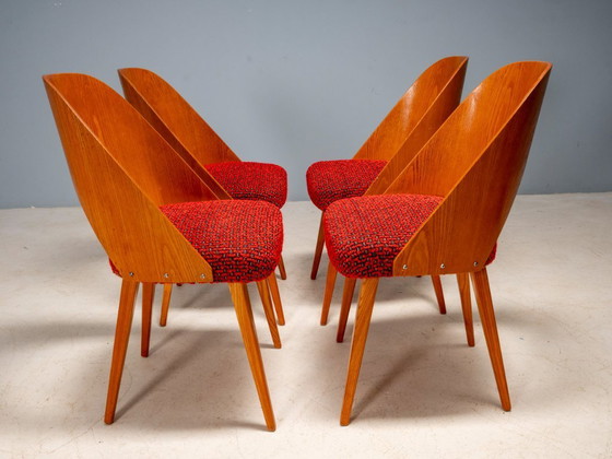 Image 1 of Chaises de salle à manger Antonín Šuman, Tatra Nábytok, Tchécoslovaquie 1960