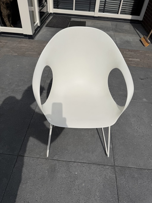 Sillas Kristalia Elephant (6 piezas)